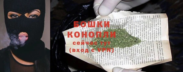 сатива Надым