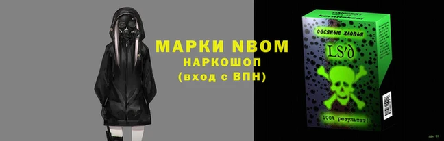 стафф Нефтекумск