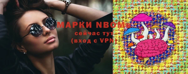 стафф Нефтекумск