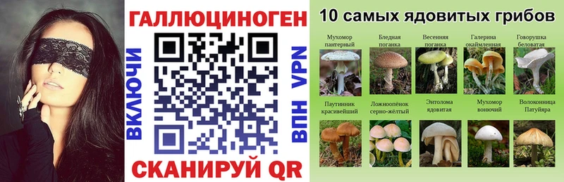 Галлюциногенные грибы MAGIC MUSHROOMS  Новокубанск 