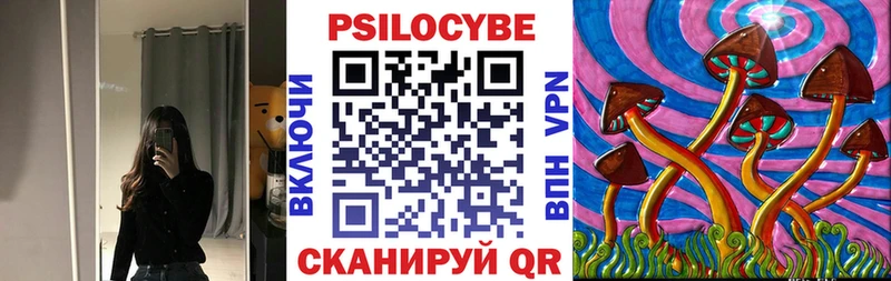 Галлюциногенные грибы Cubensis Новокубанск