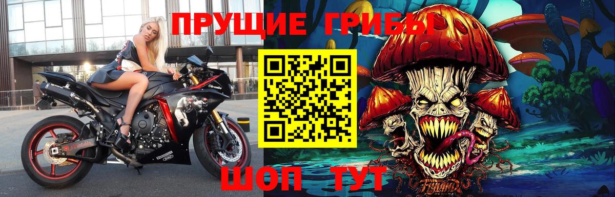 купить закладку  Псилоцибиновые грибы прущие грибы  Вход с VPN  Галлюциногенные грибы GOLDEN TEACHER  Новокубанск 